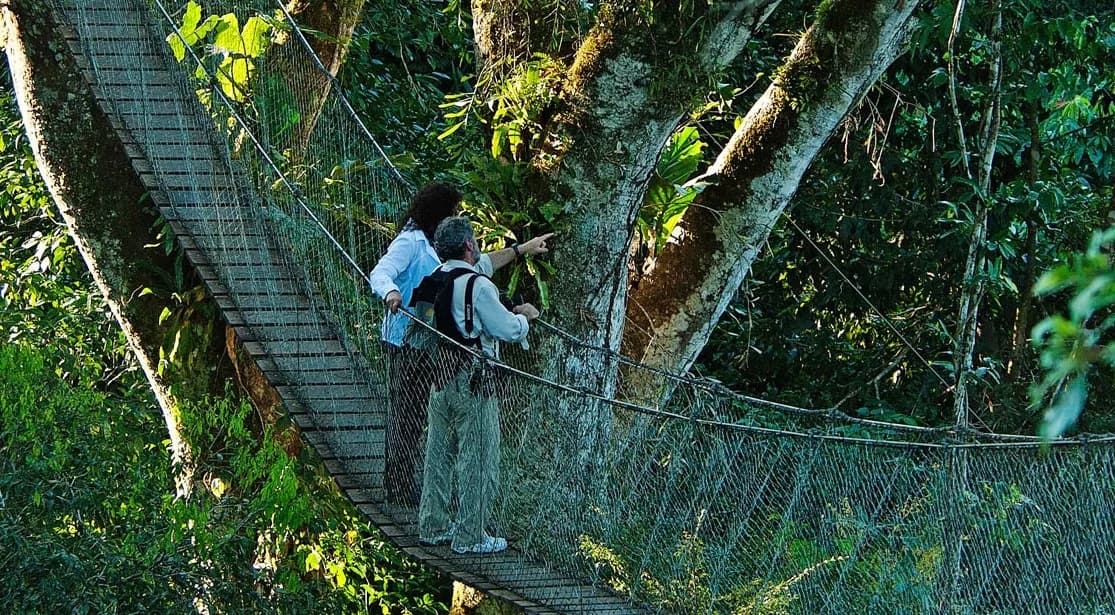 Peru Amazon jungle hike