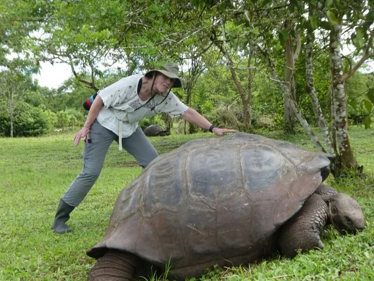 Galapagos - giant tortoise