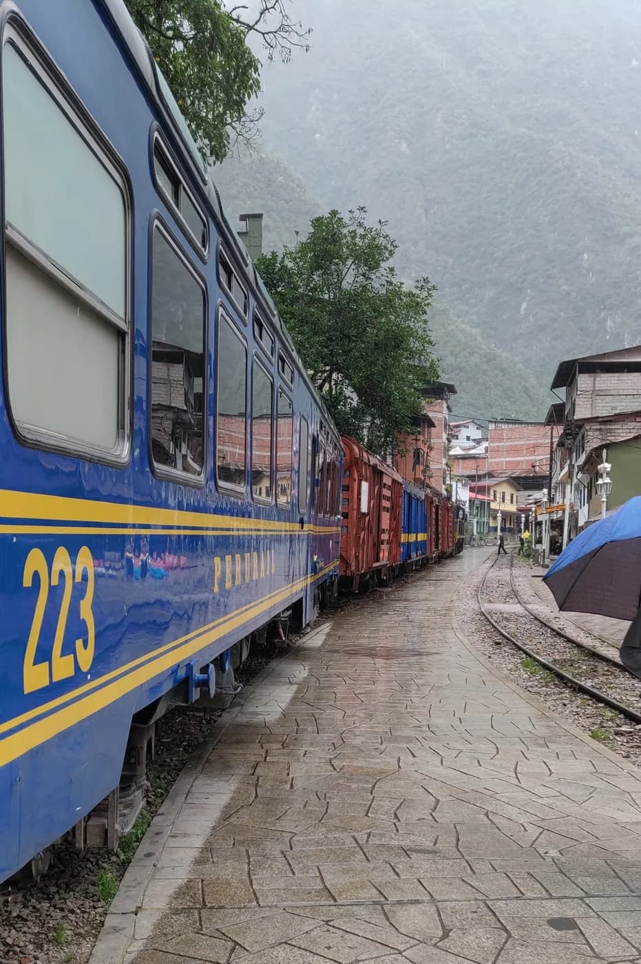 Machu Picchu Train in Aguas Calientes