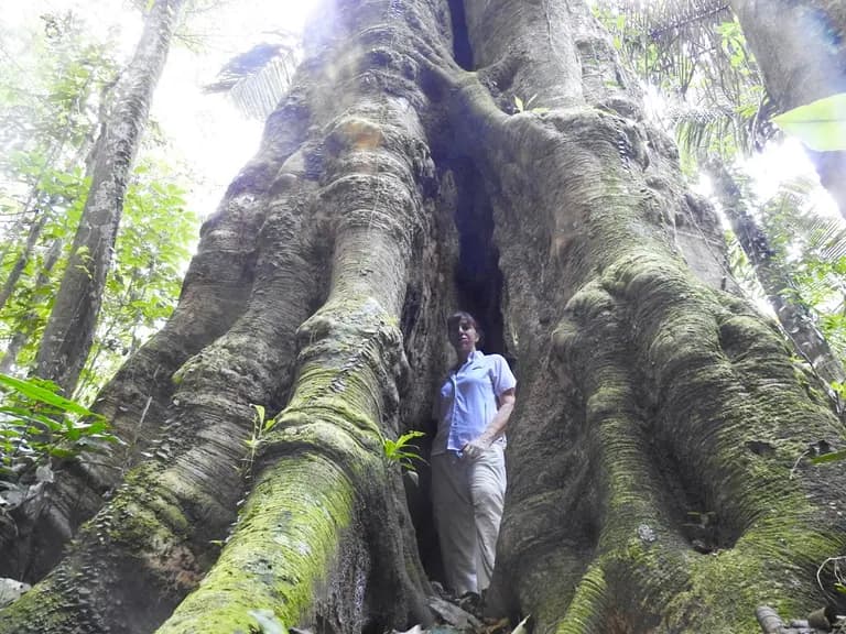 peru amazon rainforest