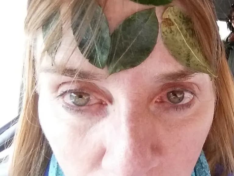 Bolivian 20headache 20remedy 202 09c9d337f87a