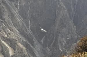 Condor 20colca 20canyon 9b50aa4b Ebebcb0372d5