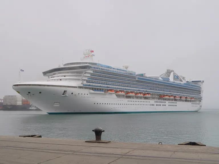 Cruise ship excursion to Machu Picchu