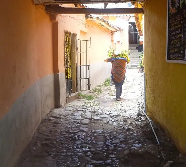 Cusco 20girl 20carrying 20flowers 0f9e736634c2