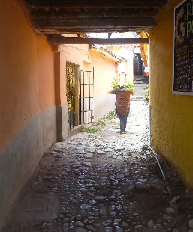 Cusco 20girl 20carrying 20flowers 0f9e736634c2