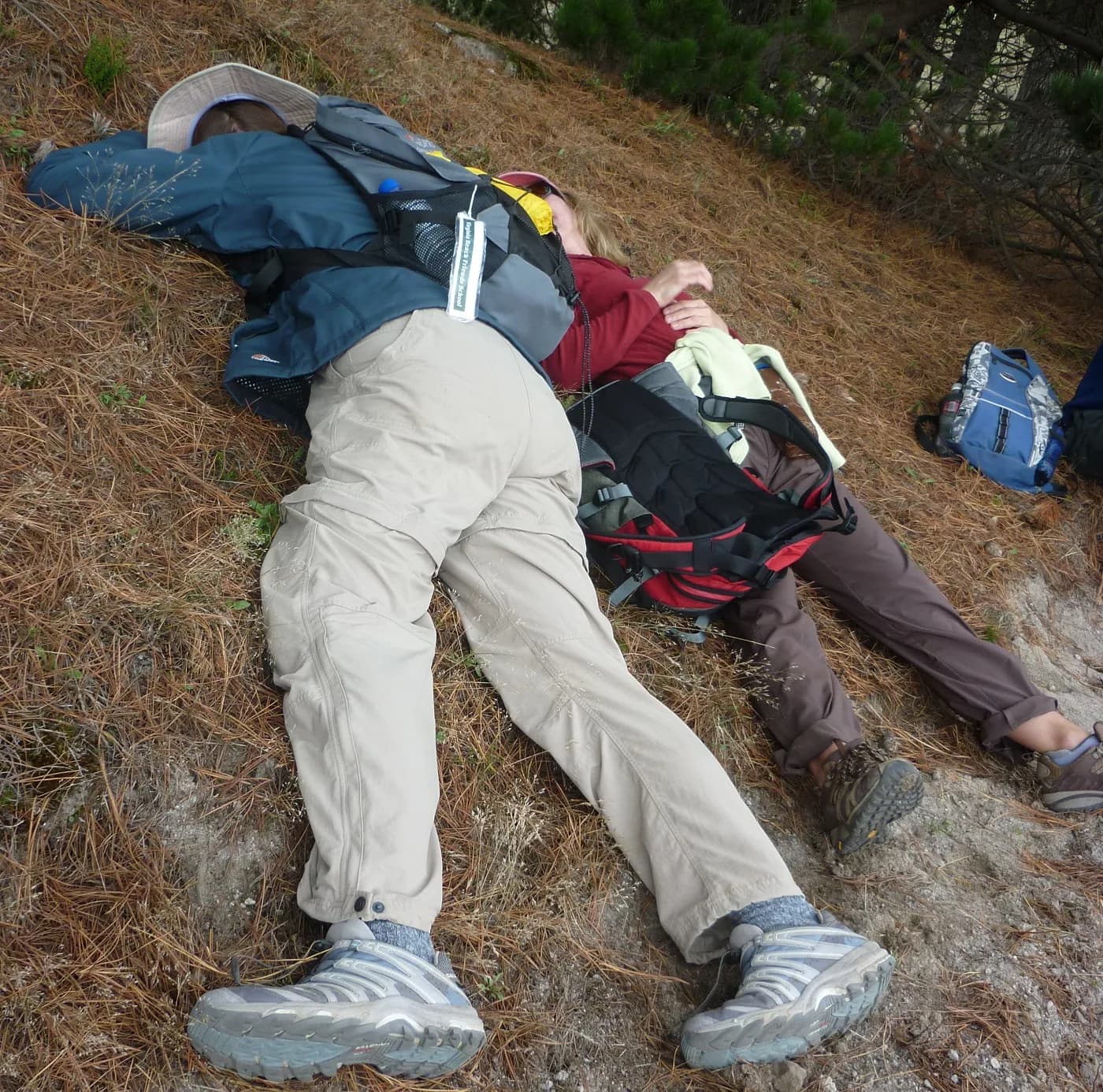 High Altitude Hike Affects 59d6a8e90c9b