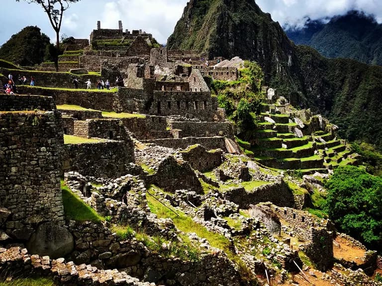 Machu 20picchu 20tree 20and 20hupi 2 298112dd0ee1