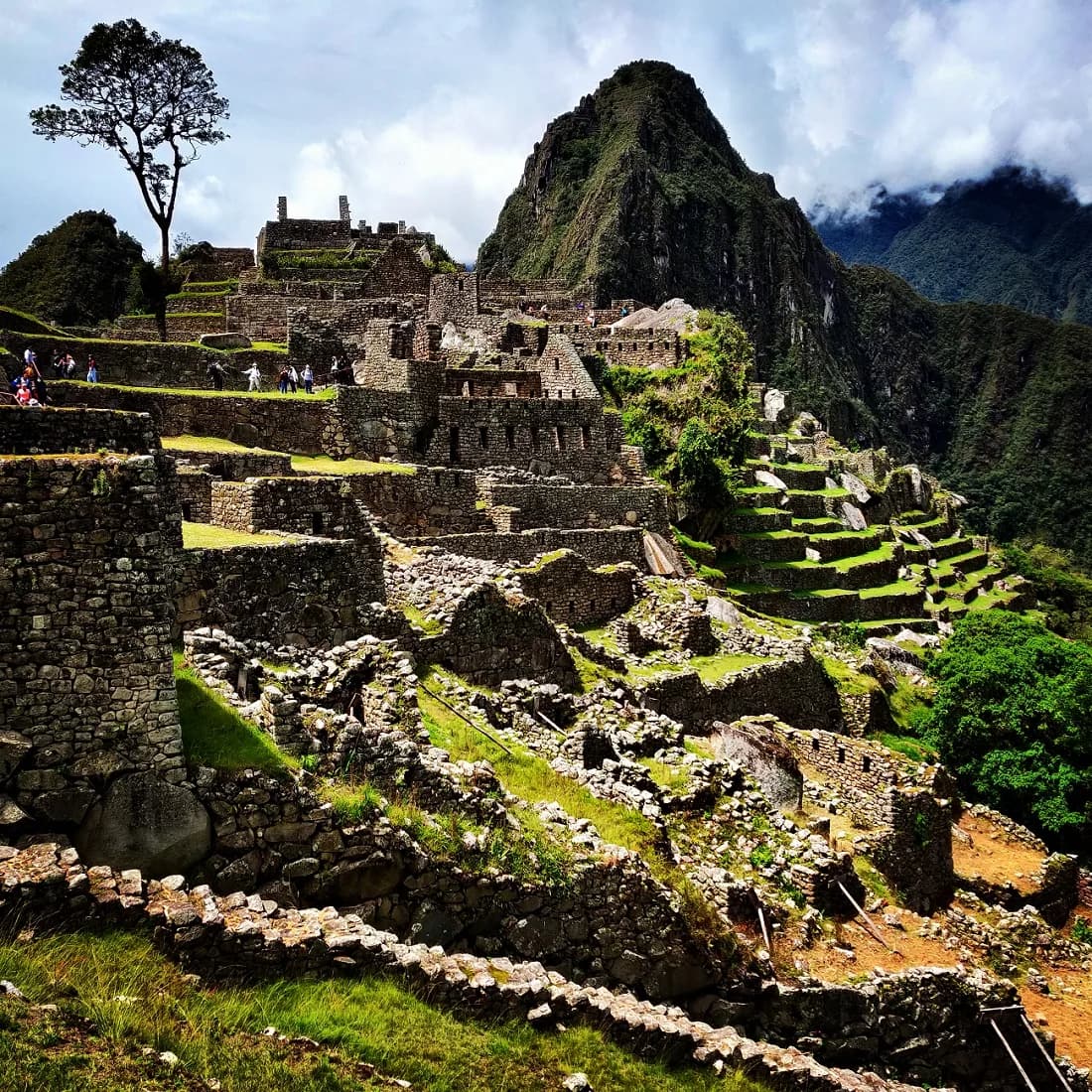 Machu 20picchu 20tree 20and 20hupi 2 298112dd0ee1