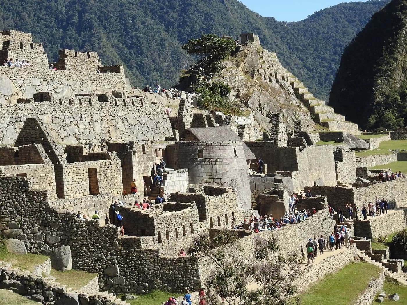Machu Picchu Temple 20 Of The Condor 8b11437890c7
