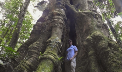 Amazon Jungle: Why You need to Travel to the Most Biologically Diverse Place on Earth