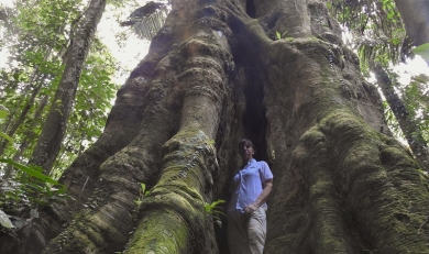 Amazon Jungle:  Why You need to Travel to the Most Biologically Diverse Place on Earth