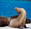 Galapagos Islands for All Budgets 7 Days