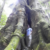 Amazon Rain Forest