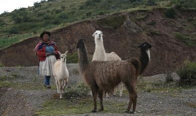 Free Entry to Machu Picchu & Inca Trail Hikes For Public Servants